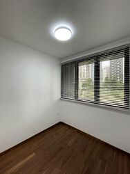 Kopar At Newton (D9), Apartment #572736141